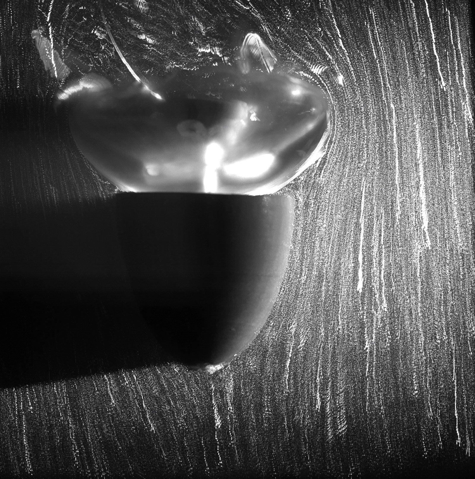 Jellyfish de Caltech