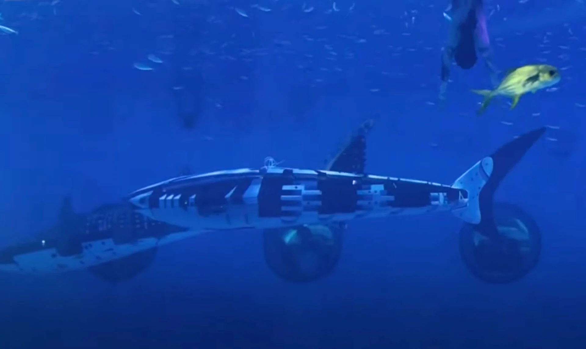 Le robot requin-baleine chinois